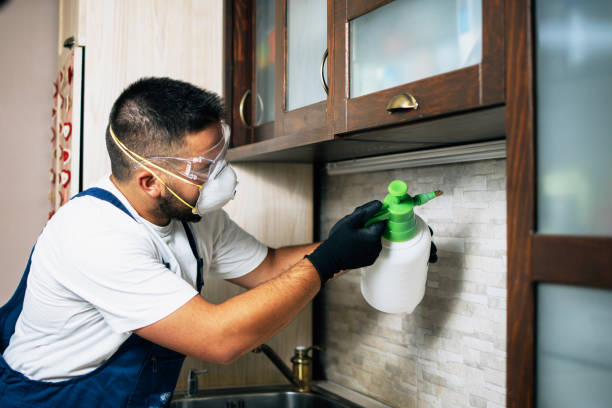 Flea Control Services in Lockwood, MO