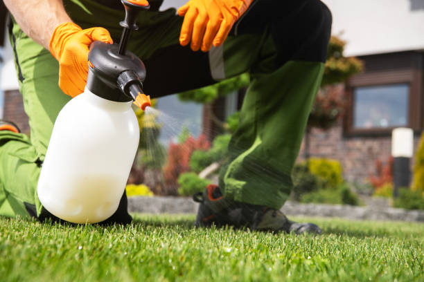 Best Wasp Removal Services  in Lockwood, MO