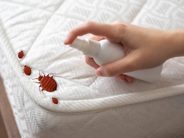 Professional Pest Control in Lockwood, MO