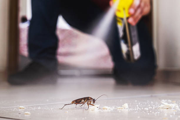 Wildlife Control Services in Lockwood, MO
