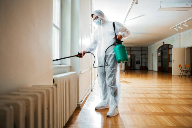 Best Wasp Removal Services  in Lockwood, MO