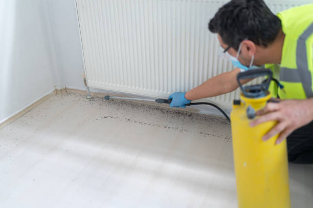 Best Flea Control Services  in Lockwood, MO