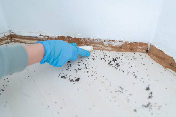 Best Pest Removal Services  in Lockwood, MO