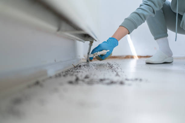 Best Pest Prevention Services  in Lockwood, MO