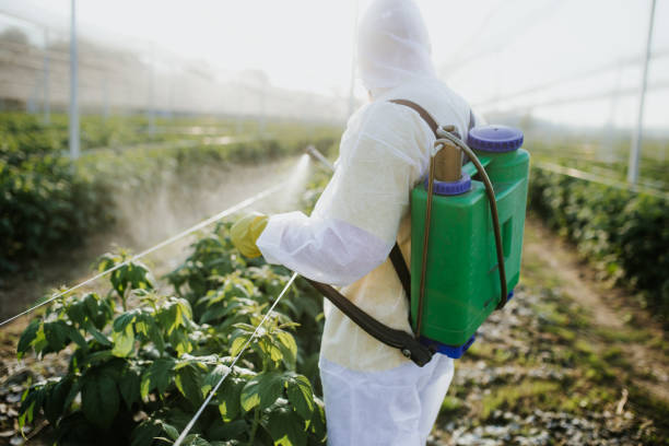 Best Pest Removal Services  in Lockwood, MO